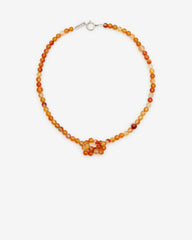 COLLIER NOAH